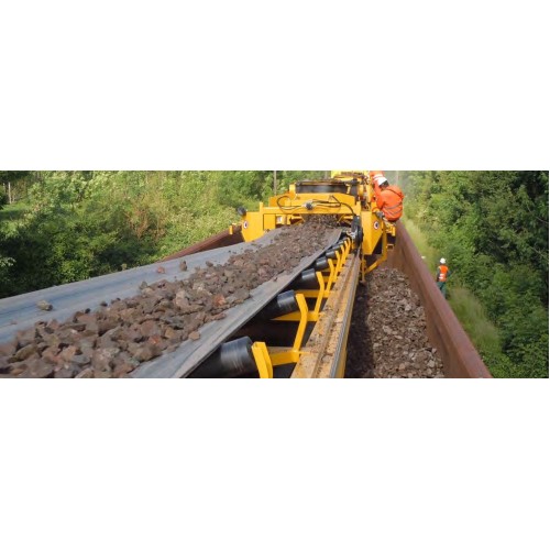 CB15 Automatic Conveyor Belt for wagons loading - Colmar